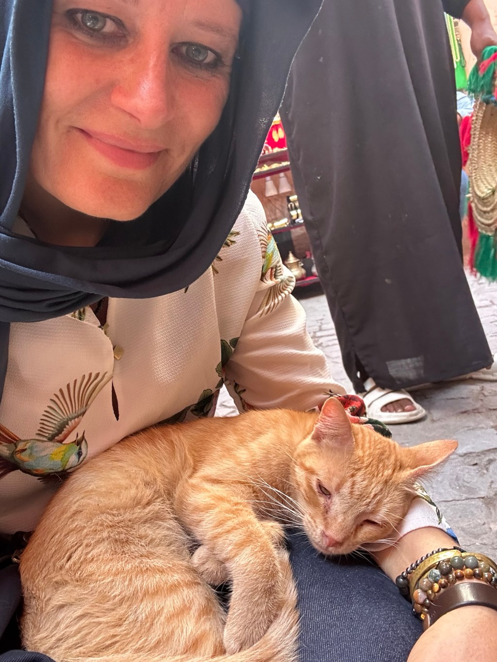 17 Febbraio: Giornata nazionale del Gatto